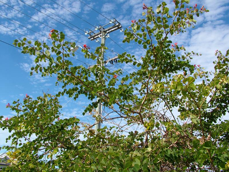 22commerce-II 019.jpg